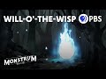 Will-o'-the-Wisp in Literature and Science