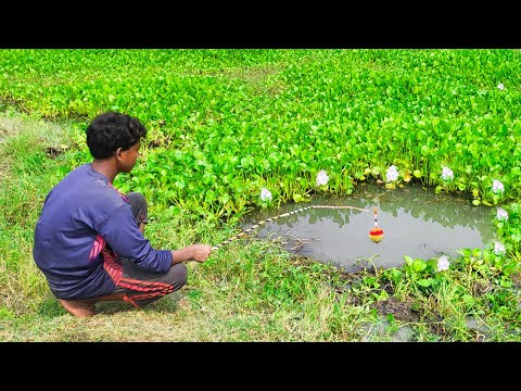 Best Fishing Video ~ Village Smart Boy Fishing With Hook ~ Traditional Hook Fishing