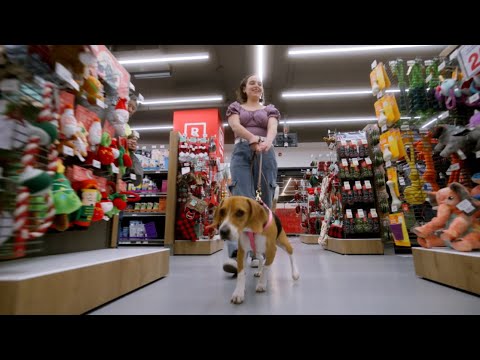 Paws and Processors: How Lenovo TruScale helped Petco take pet wellbeing to the next level