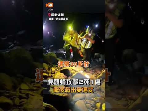 【社會】屏東滿州虎頭蜂攻擊2死1傷 徹夜救出受傷女