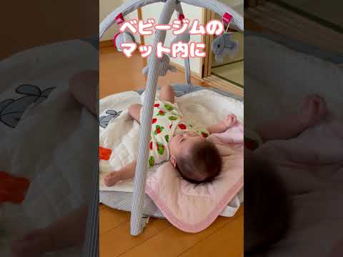 ガサガサ音が好きすぎる / Love rustling noise #shorts