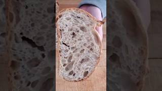 Open Crumb Sourdough
