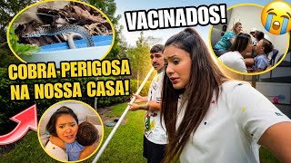 UMA COBRA NA NOSSA CASA + LEVEI AS CRIANÇAS PRA VACINAR! *TEVE MUITO CHORO* 😭🐍