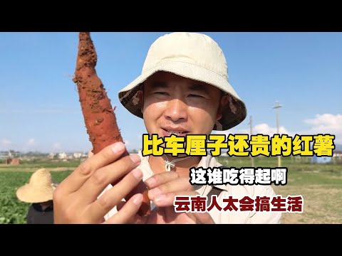 云南人太会搞生活，石榴花炒豆豉，红薯比荔枝还贵！【小白的奇幻旅行】