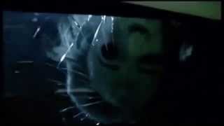 Halloween 4: Michael Myers Faceplant
