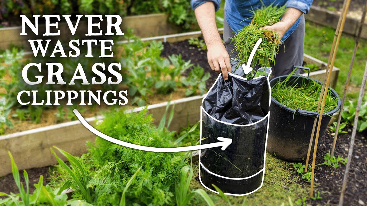 GRASS - The Most Valuable FREE Resource for Growing Food