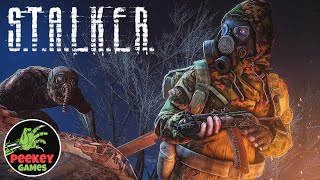 🛑Dayz Stalker PVE "Награда за фарм" (сервер: GreenGarden) 2й сезон на HoriZone Pt.1