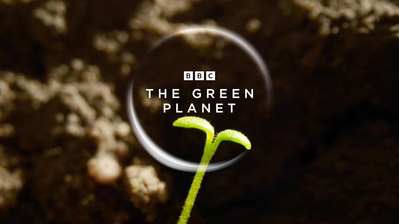 The Green Planet Vorschaubild des Trailers