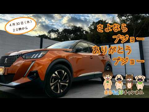 【お別れ會】さよならプジョー2008【まるちぇぽ🏠】