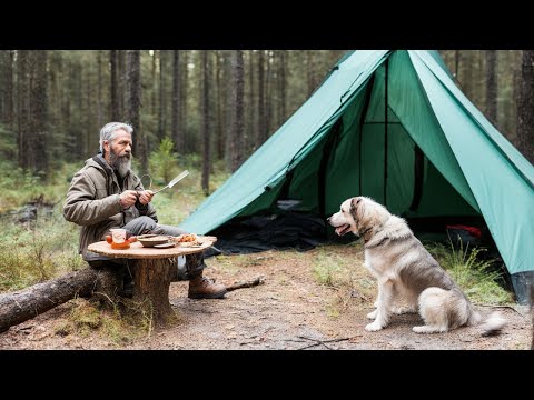 Camping with My Dog in Pine Forest | Pomoly Teepee Tent for Camping