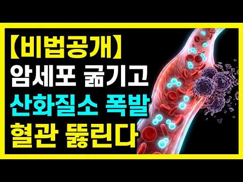 암세포 굶겨 죽이고 막힌 혈관 단번에 뚫는 평생 건강 비결 총정리