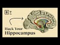 Understanding Human Memory Concepts