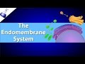 Exploring the Endomembrane System