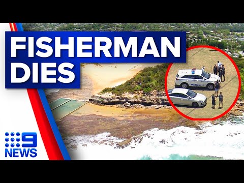Fisherman dies after being swept off rocks on Sydney’s northern beaches | 9 News Australia