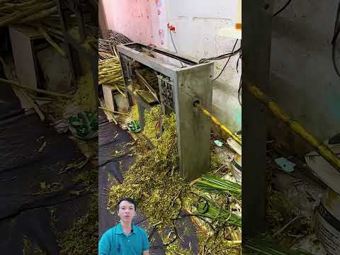 Máy gọt vỏ mía tuyệt vời - Sugarcane peeling machine #shorts