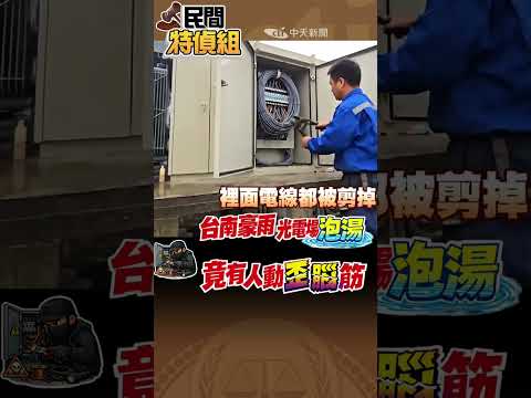 光電場泡湯!竟有人動歪腦筋【#民間特偵組259-2】#shorts #民間特偵組 #光電場泡湯 #台南七股光電 #塑膠市政府 #台南市政府 #林燕祝