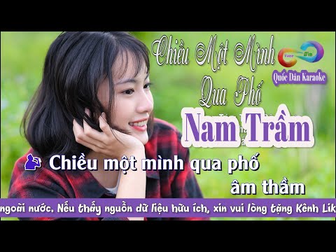 Karaoke Chiều Một Mình Qua Phố | Bossa Nova | Tone Nam Trầm | Dm | Quốc Dân Karaoke |