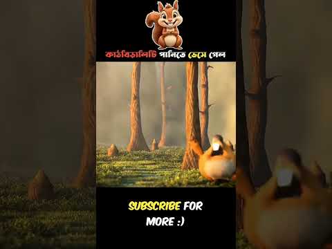 কাঠ বিড়ালটি পানিতে ভেসে গেল। 🐿️🥰❤️ #mojarcartoon #animatedcartoon