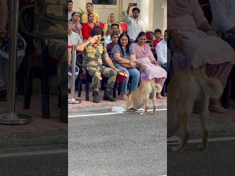 BSF's dog 🐕gently offering a bucket of flowers💐 to a 👮🏻‍♂️senior officer #bsf #dog #army #love