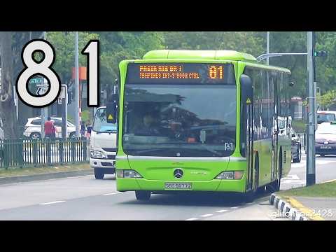 [SBST] SBS6877Z on Service 81 - Mercedes Benz Citaro