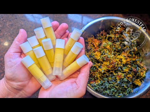 The Healing Power of Nature | Infused Oil to Balms