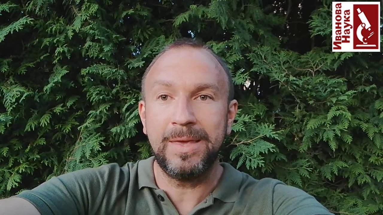 Сижу в горохах и размышляю об опасностях сена и соломы как мульчи. Есть о чем подумать