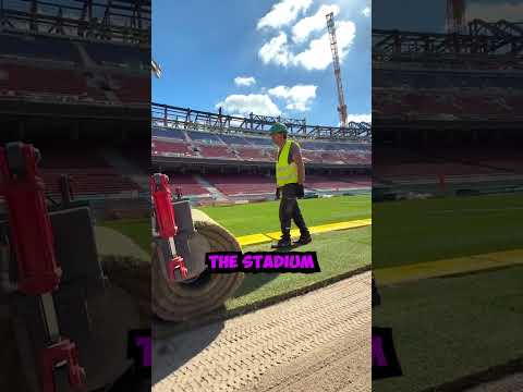 Why Stadium Grass Looks Fake ๐ณ