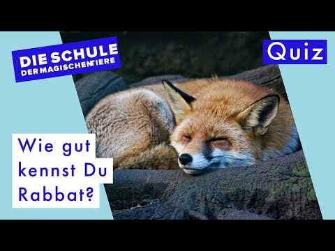 Die Schule der magischen Tiere. Rabbat-Quiz.