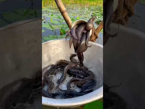 Amazing Plastic Pipe Fishing Technique | #shorts #funny #challenge #trending #video #fishing