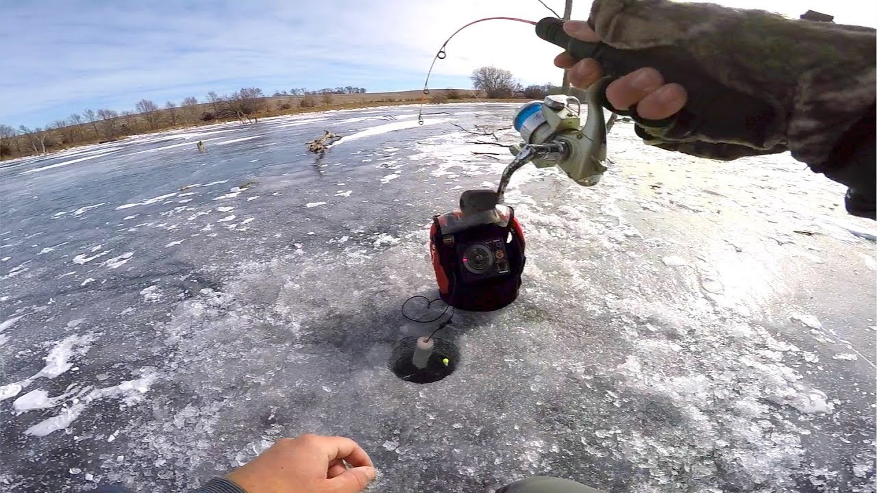 Searching for BIG Bass in SMALL Ponds