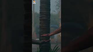 Unveiling the Character Introduction Teaser of ‘KARAVALI’ | Raj B. Shetty as Maveera | KVN Presents