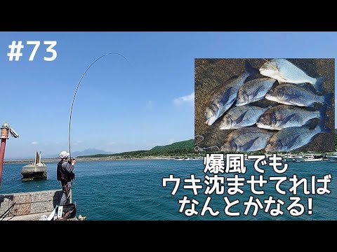 73話 爆風のフカセ釣りは沈ませてればなんとかなる!