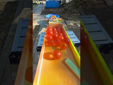 Marble Run ☆ Charismax Guppy Marble Run④