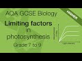 Photosynthesis Factors and Enzyme Activity