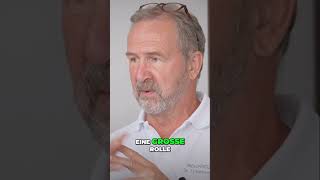 Stress & Umwelt: Wie beeinflussen sie unsere Gesundheit? #shorts