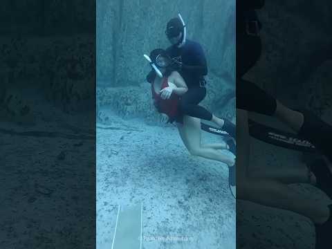 Tonic Immobility in Shark 🦈