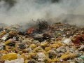 Air Pollution Sources and Effects