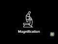 Understanding Magnification and Image Size