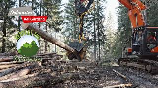CO₂ compensation fund | DOLOMITES Val Gardena