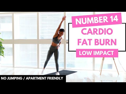 No Jumping - LOW IMPACT CARDIO Workout | Beginner Friendly - No.14