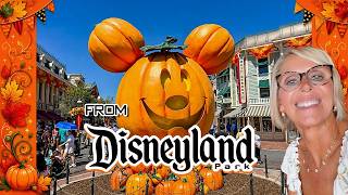 Disneyland  8/12/26  #live