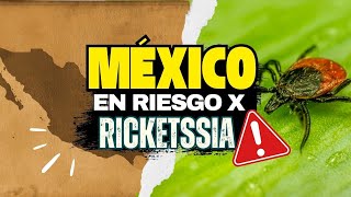 ¡Alerta en México! Enfermedad mortal transmitida por garrapatas en 2025