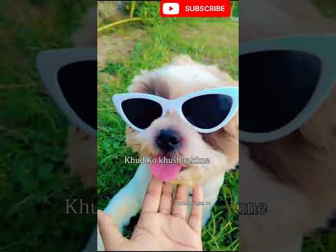 har kisi ko hum ache lge or har koi humse khush ho#viral #ekmotahathighumechala #asitkumarmodi