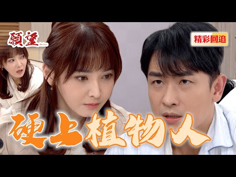 家翔秒變工具人 雅軒為了錢植物人都要 曉春：他才是我的｜願望 EP129精華@setdramatw