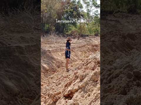 โคกหนองนาโมเดลลูกหมีชอบเที่ยวเฮือนฮักแฮงเด็กมออุบล