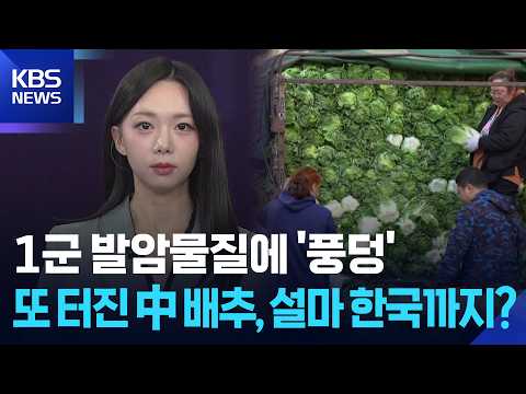 1군 발암물질에 ‘풍덩’…또 터진 中 <strong>배추</strong>, 설마 한국까지? [W 언박싱] / KBS  2026.08.24.