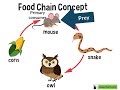 Predator-Prey Relationships in Ecosystems
