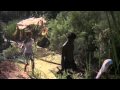 Survival and Character Analysis in Film