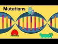 Understanding DNA Mutations and Their Effects