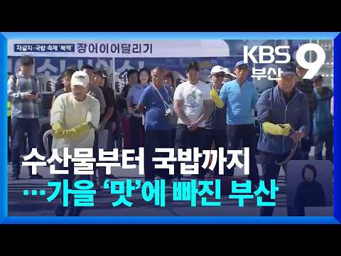 수산물부터 국밥까지…가을 ‘맛’에 빠진 부산 / KBS  2026.10.17.